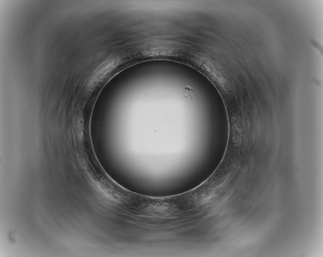 X0000095890631200801111156
