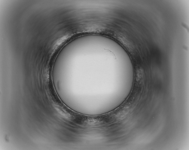 X0000095890632200801111156