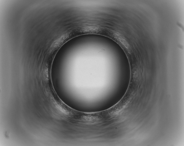 X0000095890633200801111156