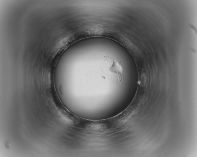 X0000095890638200801111156