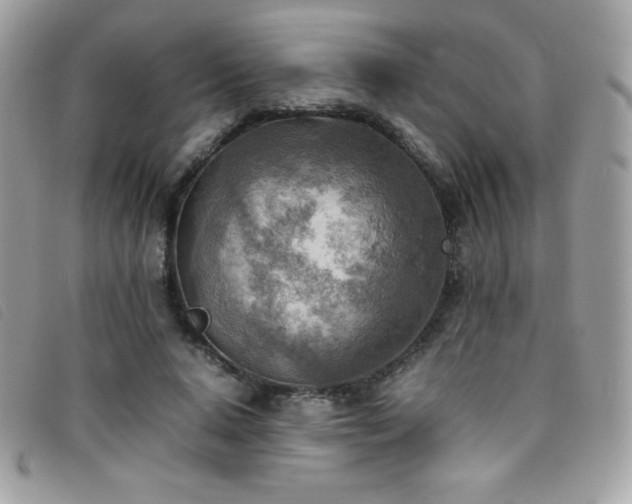 X0000095890640200801111156