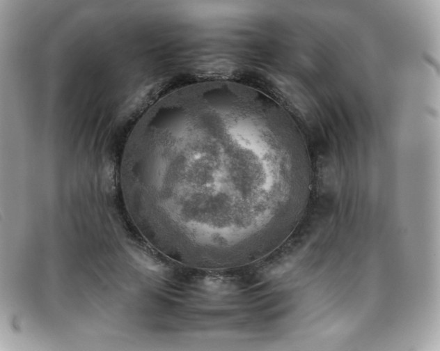 X0000095890641200801111156