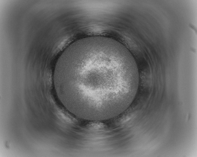 X0000095890642200801111156