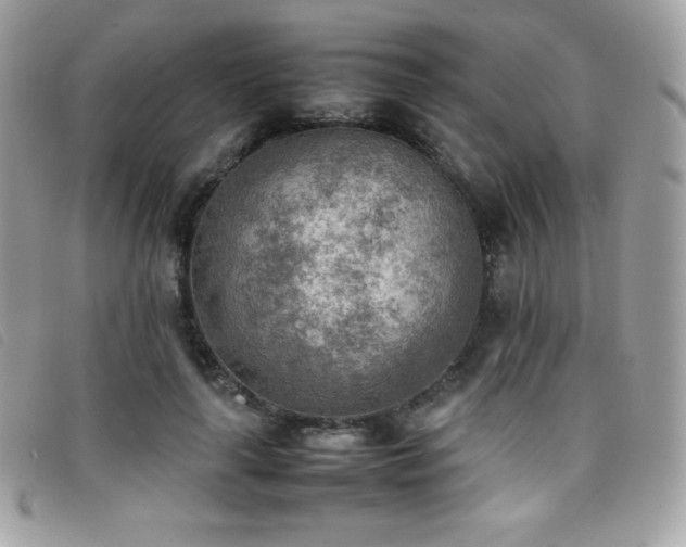 X0000095890643200801111156