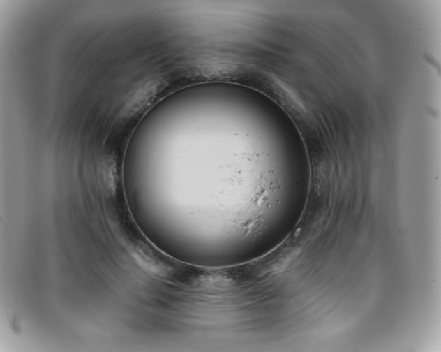 X0000095890644200801111156