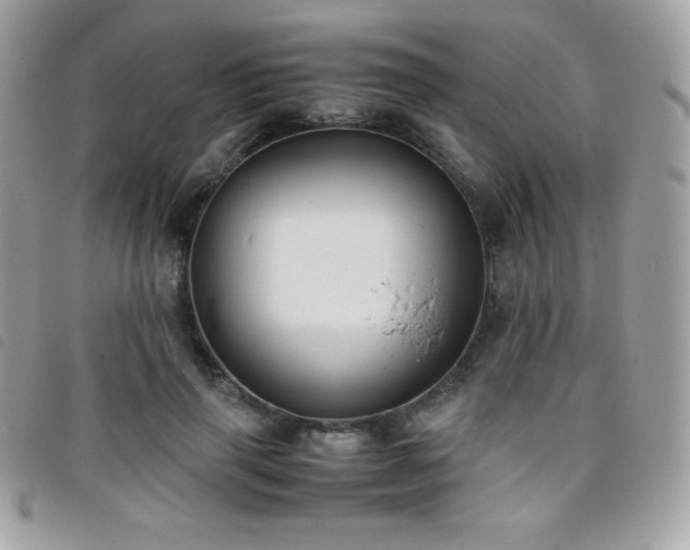 X0000095890645200801111156