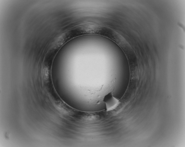 X0000095890646200801111156