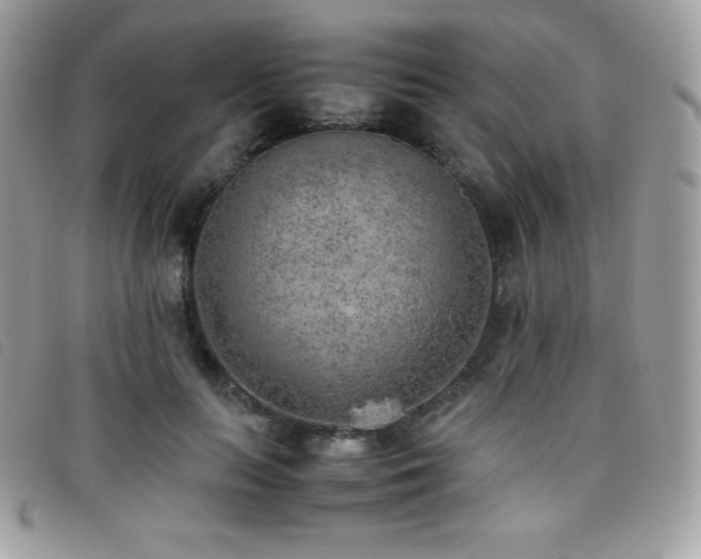 X0000095890647200801111156