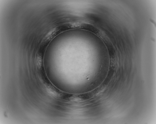 X0000095890648200801111156