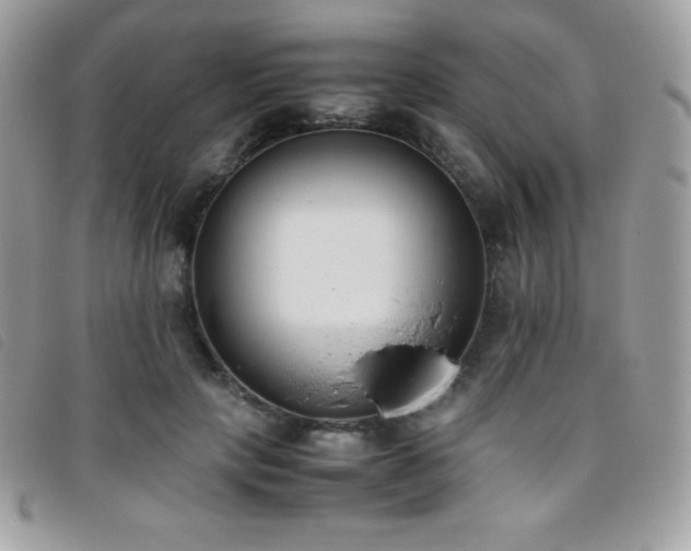 X0000095890649200801111156