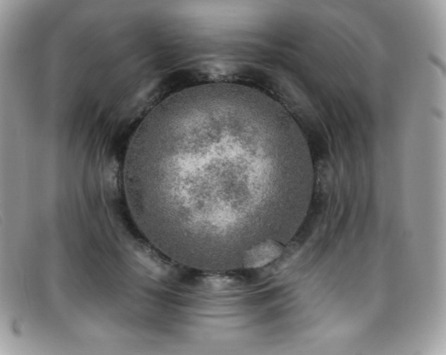 X0000095890650200801111157