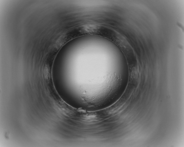 X0000095890651200801111157