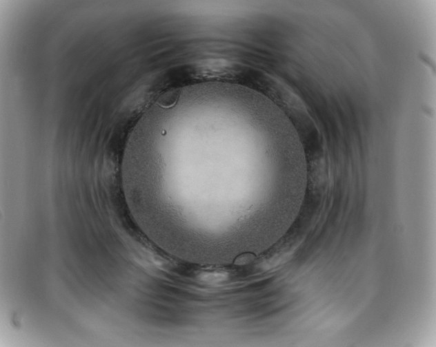 X0000095890653200801111157