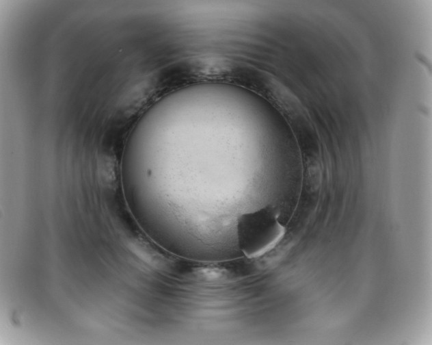 X0000095890654200801111157