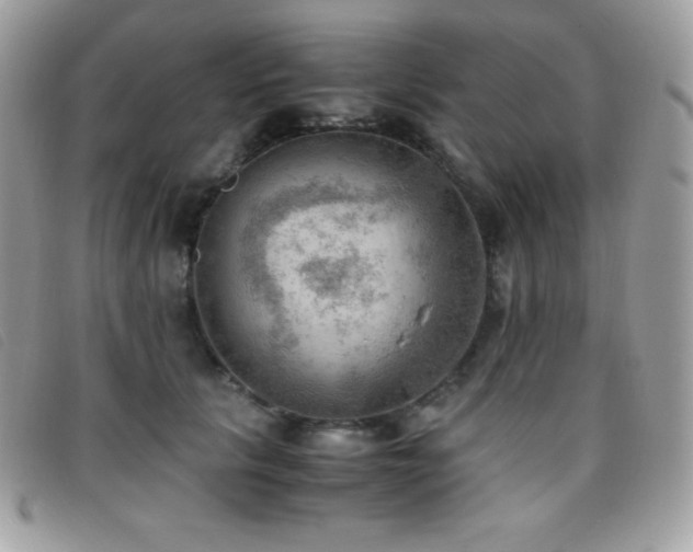 X0000095890657200801111157