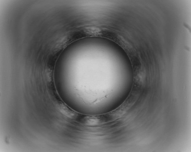 X0000095890658200801111157