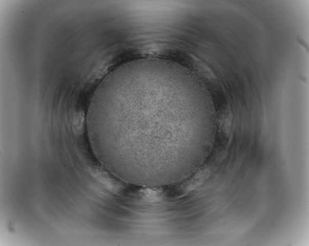 X0000095890660200801111157