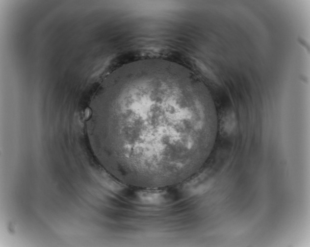X0000095890661200801111157