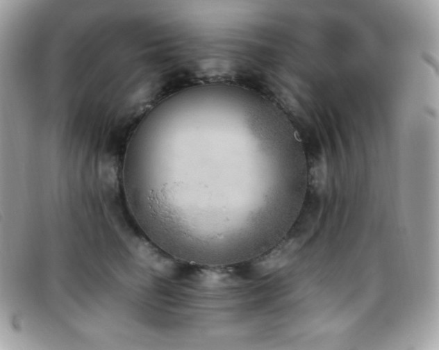 X0000095890662200801111157