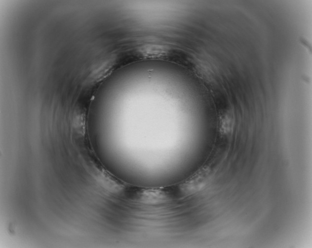 X0000095890666200801111157