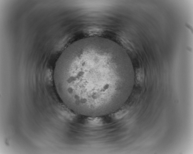 X0000095890667200801111157