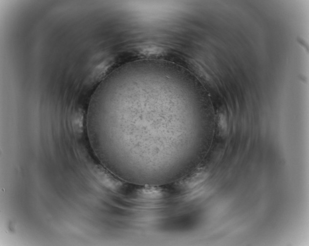 X0000095890668200801111157