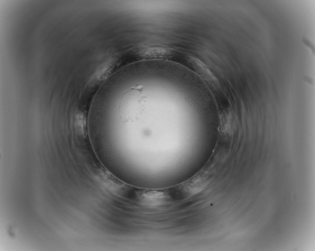 X0000095890669200801111157