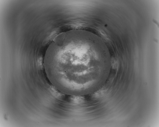 X0000095890670200801111157