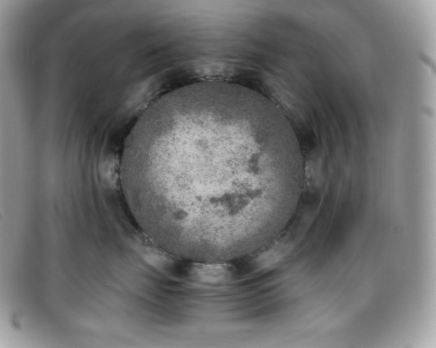 X0000095890671200801111157