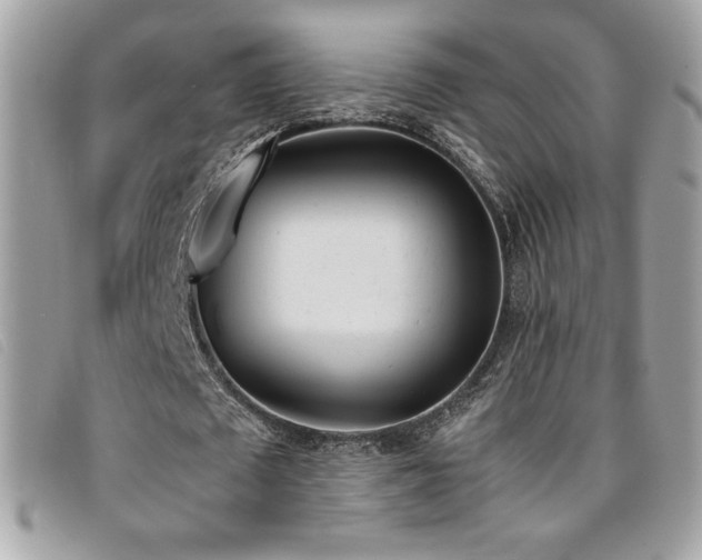 X0000095890673200801111156
