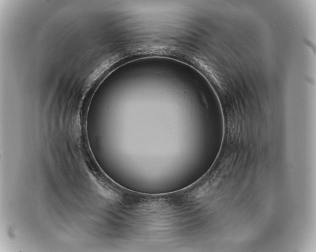 X0000095890674200801111156