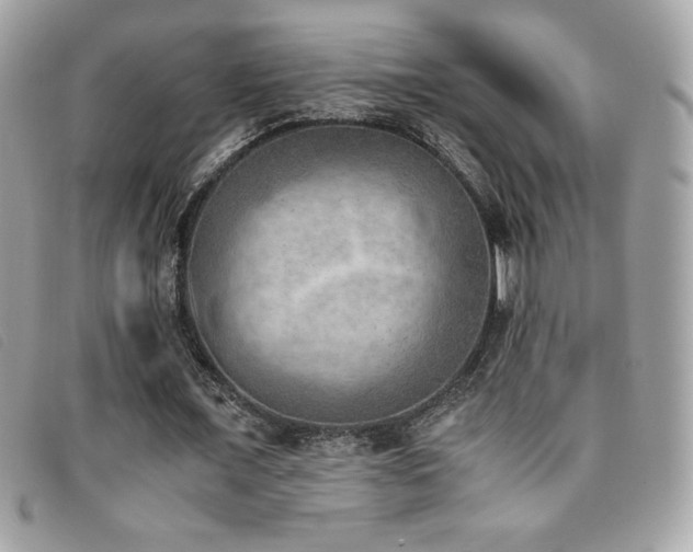 X0000095890675200801111156