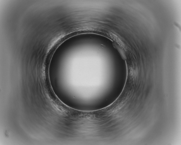 X0000095890676200801111156