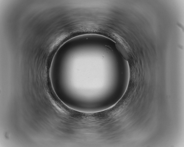 X0000095890677200801111156