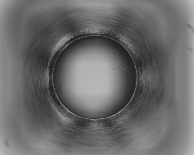 X0000095890678200801111156