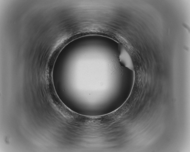 X0000095890680200801111156