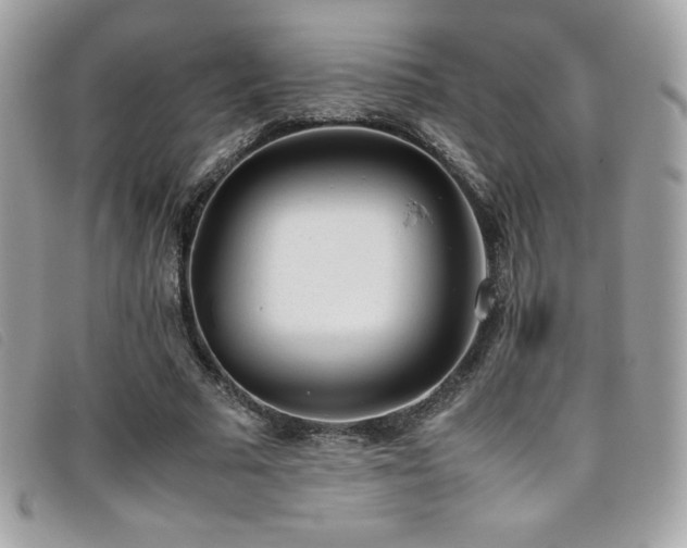X0000095890681200801111156