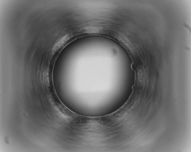 X0000095890682200801111156
