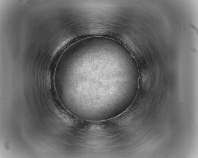X0000095890684200801111156