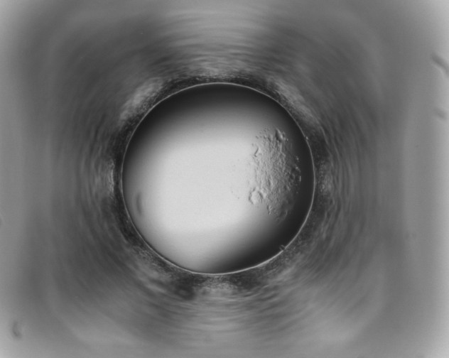 X0000095890685200801111156