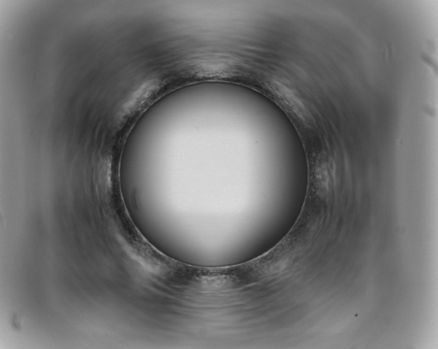X0000095890686200801111156