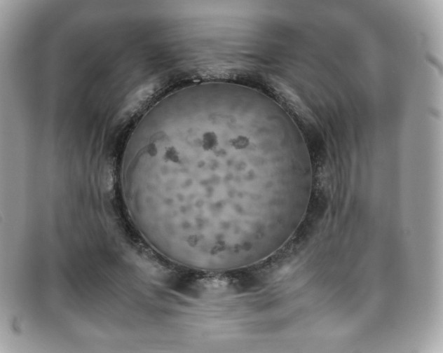 X0000095890687200801111156