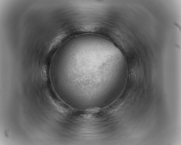 X0000095890688200801111156