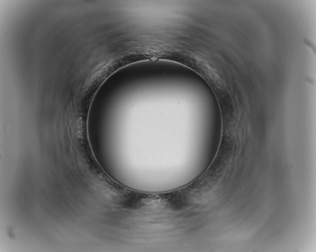 X0000095890689200801111156
