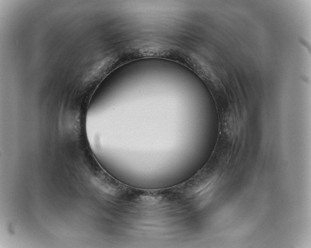 X0000095890690200801111156