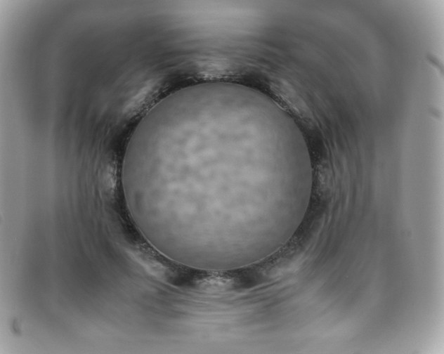 X0000095890691200801111156