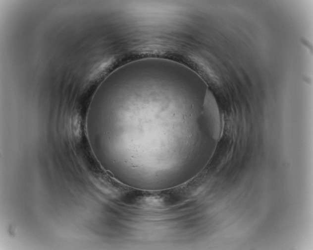X0000095890692200801111156