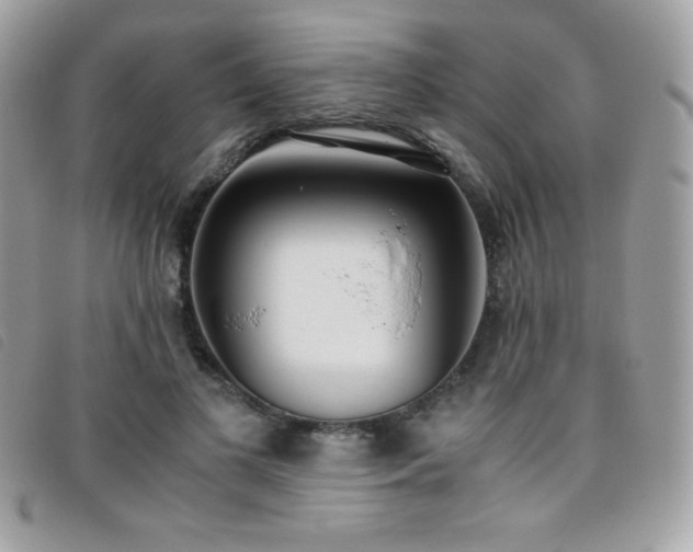 X0000095890693200801111156