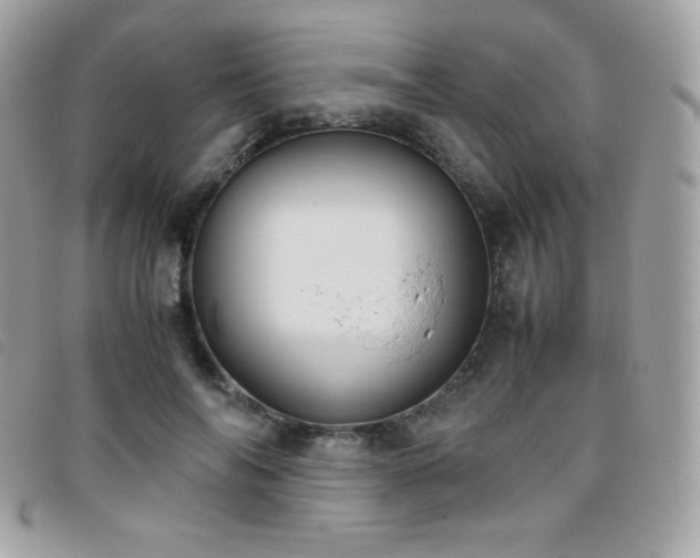 X0000095890694200801111156