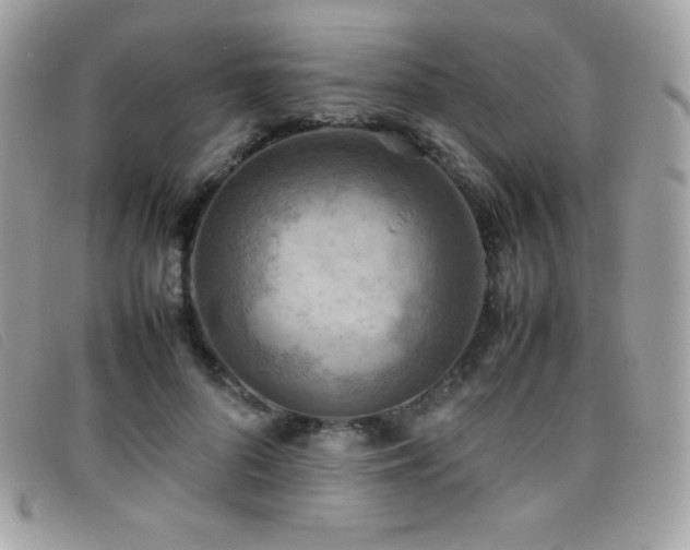 X0000095890696200801111156